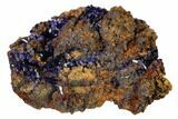 Azurite Crystal Cluster - Morocco #160311-1
